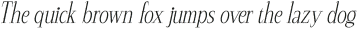 PapikeRough-Italic otf (400)