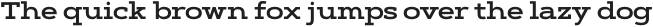 Artegra Slab Extended Thin Italic otf (100)