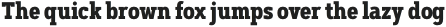 Artegra Slab ExtraBold Italic otf (700)