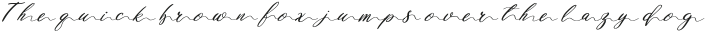 Siena ttf (400)