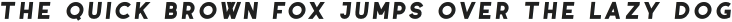 Coyote Bold Italic otf (700)