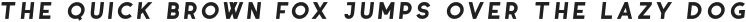 Coyote SemiBold Italic otf (600)