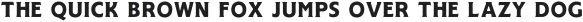 UNION MADE Bold otf (700)