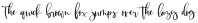 Goodness Script otf (400)