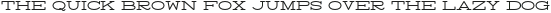 Arendt_Clean otf (400)