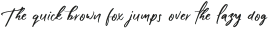 Shadow Boxing Script Two otf (400)