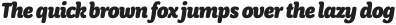 Winnie the Hoop Italic otf (400)