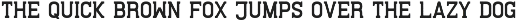Wilhelm Font preview
