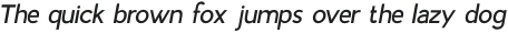 Airfly Light Italic otf (300)