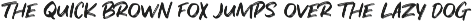 North Port | All Caps Brush Font font preview