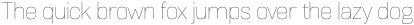 Normative Lt Thin otf (100)