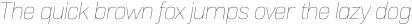 Normative Lt Thin Italic otf (100)