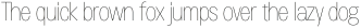 Morton Thin otf (100)