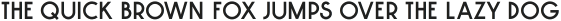 Decor Sans otf (400)