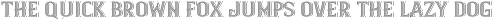 Finest Whiskey Texture Shadow otf (400)