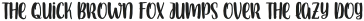 Armin Italic otf (400)