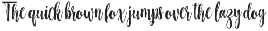 Hottemp Brush - Font Duo font preview