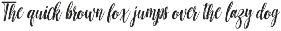 Hottemp Brush - Font Duo preview