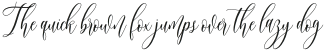 Southernbelle Script Regular otf (400)