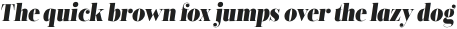 Encorpada Classic Condensed Extra Bold Italic otf (700)