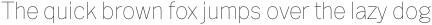Barter Exchange Thin Italic otf (100)