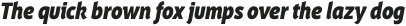 Saya FY Black Italic otf (900)