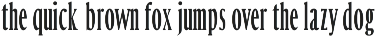 Margrite - Tall Serif Font Family preview