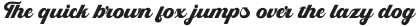 Skyblue Black Italic otf (900)