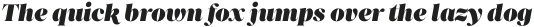 Princesa Heavy Italic otf (800)