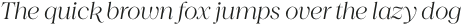Princesa Light Italic otf (300)