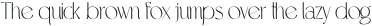 Ras Banditos Thin otf (100)