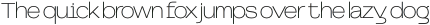Gudsein Grotesk Thin otf (100)