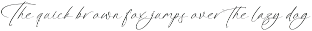 Platimye Stylish Signature Font preview