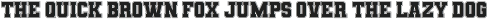 Union Varsity Font Regular otf (400)