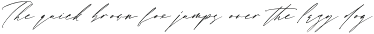 Rosatlinde Elegant Signature Script preview