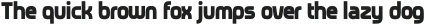 Neoverse Sans Bold Condensed otf (700)
