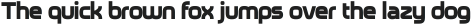 Neoverse Sans VF Bold ttf (700)