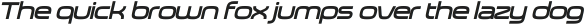 Neoverse Sans Medium Expanded Oblique otf (500)