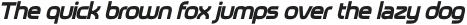 Neoverse Sans Semi Bold Oblique otf (600)