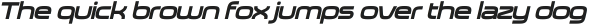 Neoverse Sans Semi Bold Expanded Oblique otf (600)