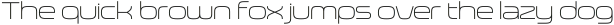 Neoverse Sans Light Expanded otf (300)