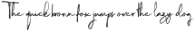 Magnite Italic otf (400)