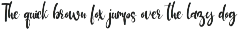 Hamster font preview