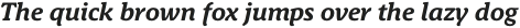 Schuss News Pro Bold Italic otf (700)