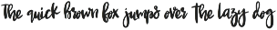 NEWPORT BEACH Brush Script Font preview