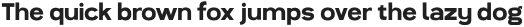Magnolia Sans SemiBold otf (600)