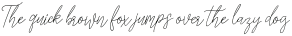 Licht Script Slant otf (400)