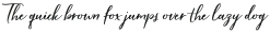 Hardwired Script Regular otf (400)