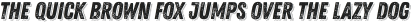 Zing Rust Grunge1 Base Shadow4 otf (400)
