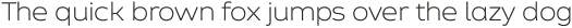 Zing Sans Rust Light Base Halftone A otf (300)